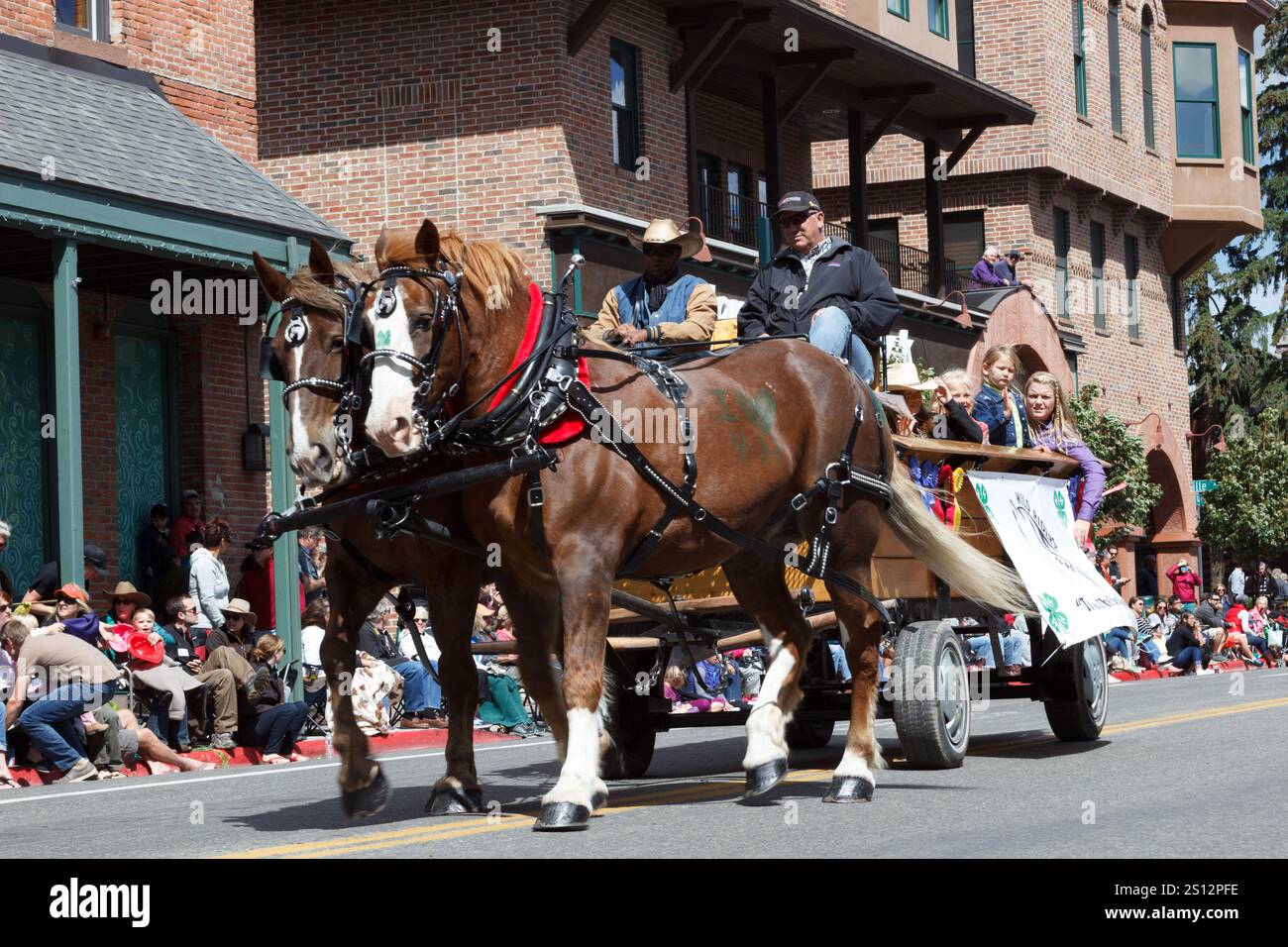 Pferdewagen Teilnahme an einer festlichen Downtown Community Parade, Wagon Days, Sun Valley, Idaho Stockfoto