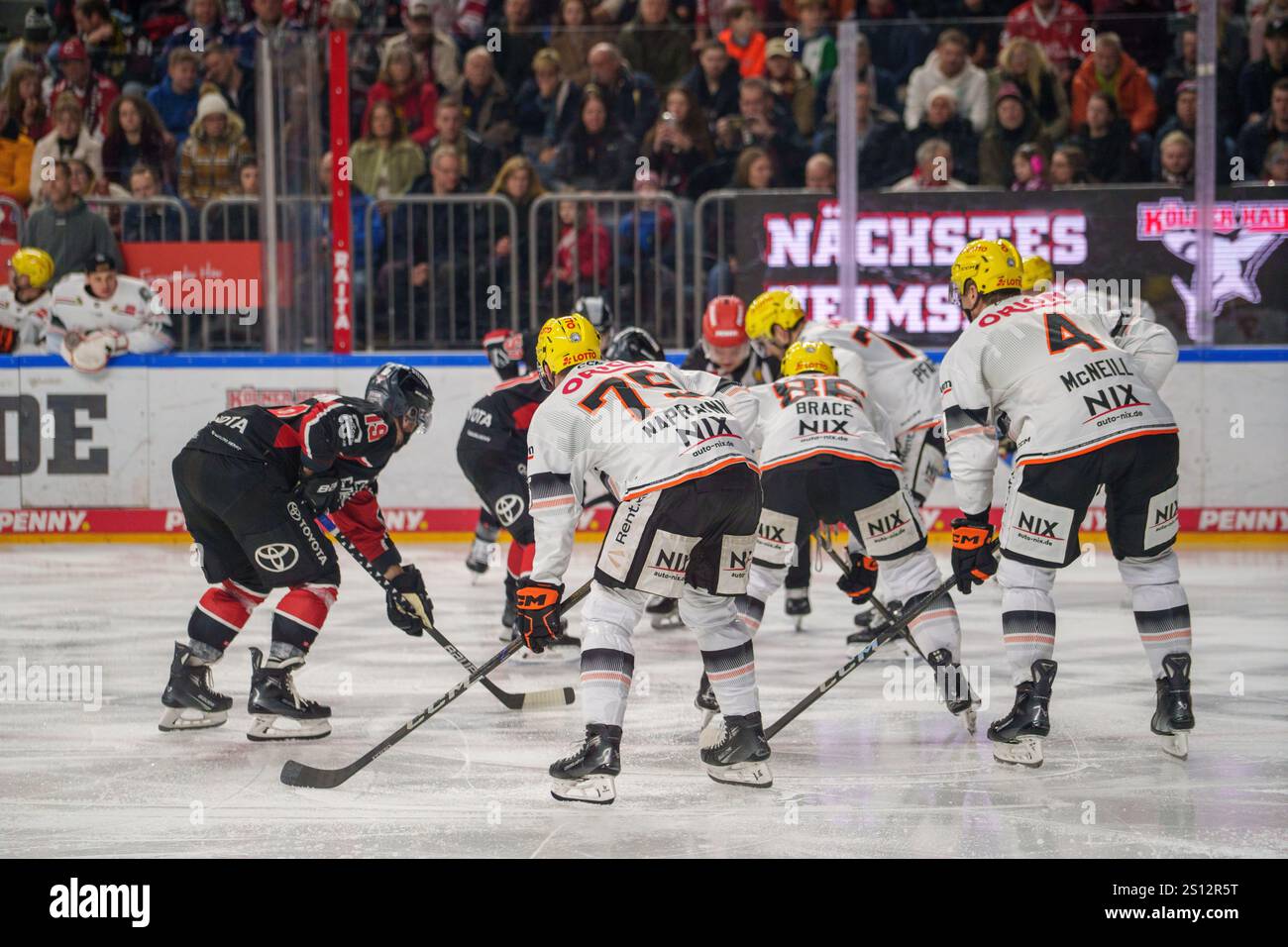 Köln, Deutschland. 11.10.2024, DEL, Deutsche Eishockey-Liga Saison 2024/25, 32. Spieltag: Kölner Haie gegen Löwen Frankfurt Foto: Robin Huth/Alamy Live News Stockfoto