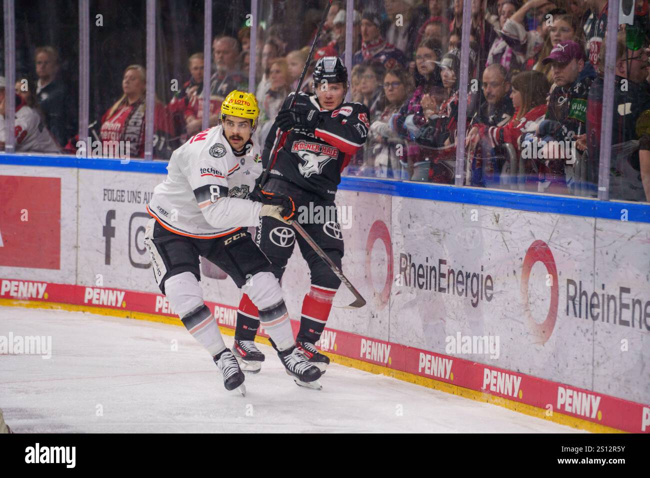 Köln, Deutschland. 11.10.2024, DEL, Deutsche Eishockey-Liga Saison 2024/25, 32. Spieltag: Kölner Haie gegen Löwen Frankfurt Foto: Robin Huth/Alamy Live News Stockfoto
