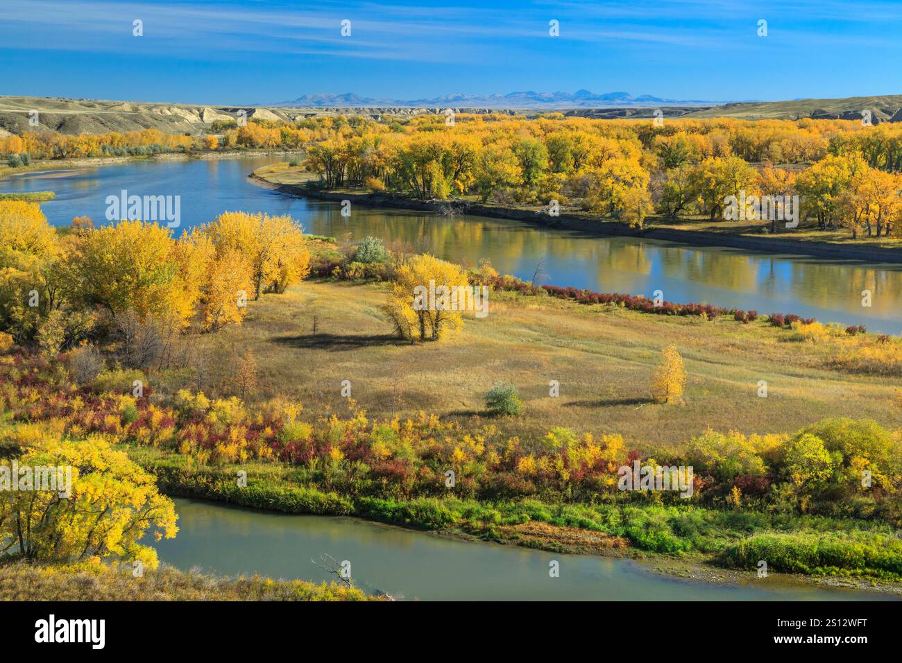 Farben des Herbstes entlang des Missouri River in der Nähe von Loma, Montana, mit der Bearpaw-Berge in der Ferne Stockfoto