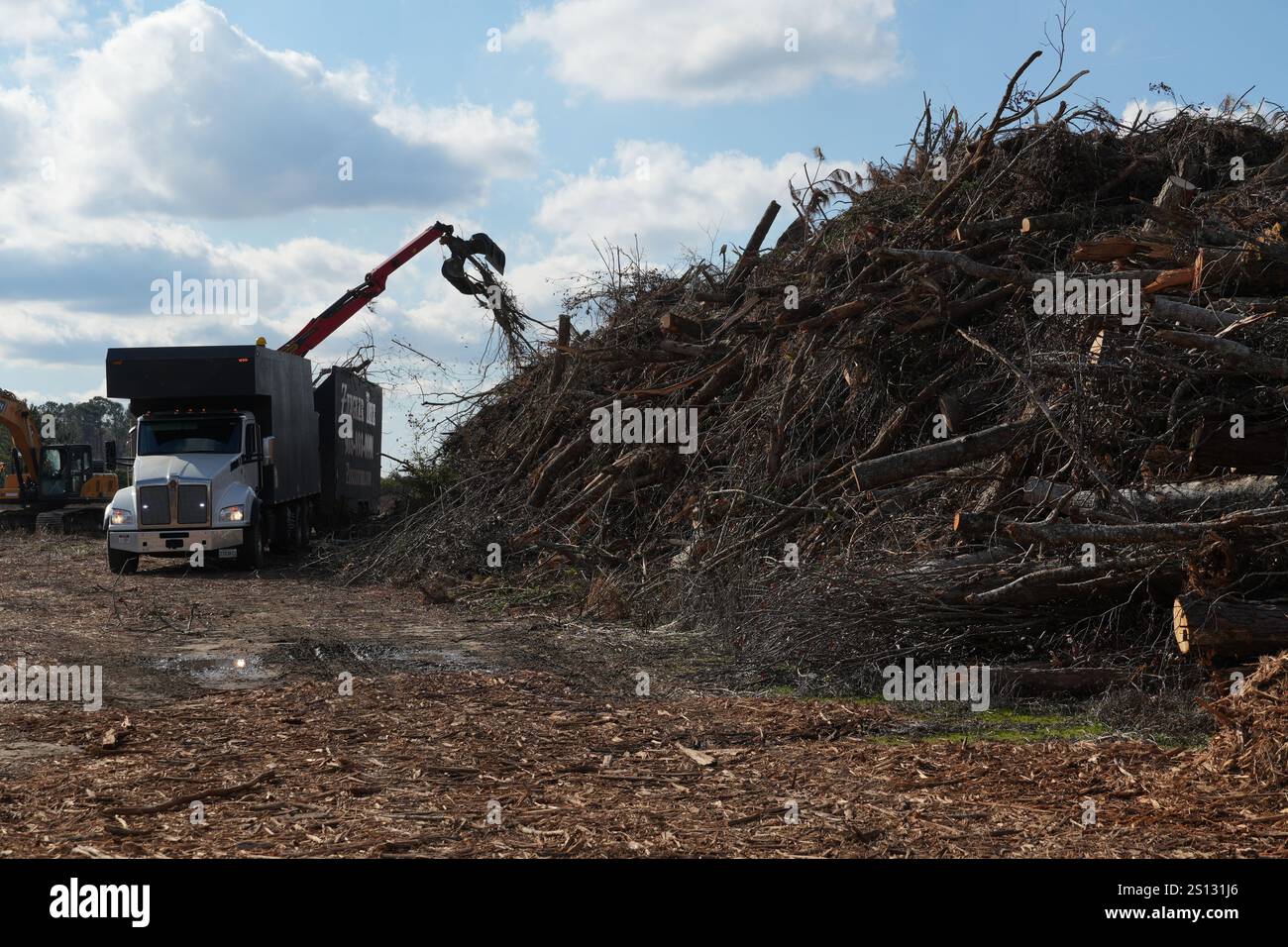 Ein Auftragnehmer des U.S. Army Corps of Engineers (USACE) entlädt Trümmer auf der temporären Deponieverwaltungsstelle von Screven County, Georgia. USACE arbeitet mit lokalen, staatlichen und föderalen Behörden zusammen, um vegetative Trümmer aus zehn Georgia Countys zu entfernen, die von Hurrikan Helene betroffen sind: Ben Hill, Brooks, Candler, Dodge, Jenkins, Laurens, Lowndes, McIntosh, Montgomery und Screven. Stockfoto