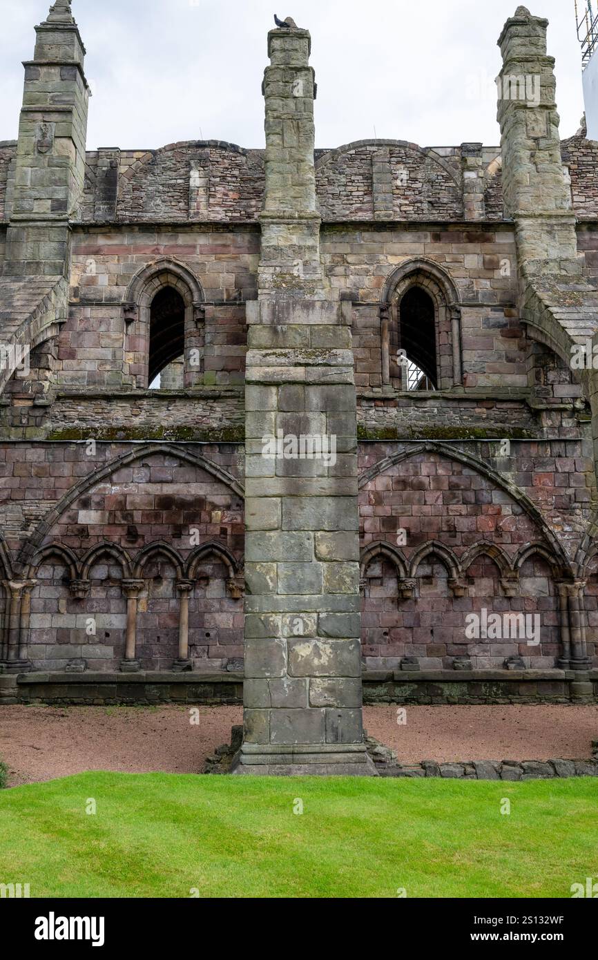 Die Ruine der Holyrood Abbey neben dem Holyrood Palace in Edinburgh, Großbritannien. Stockfoto