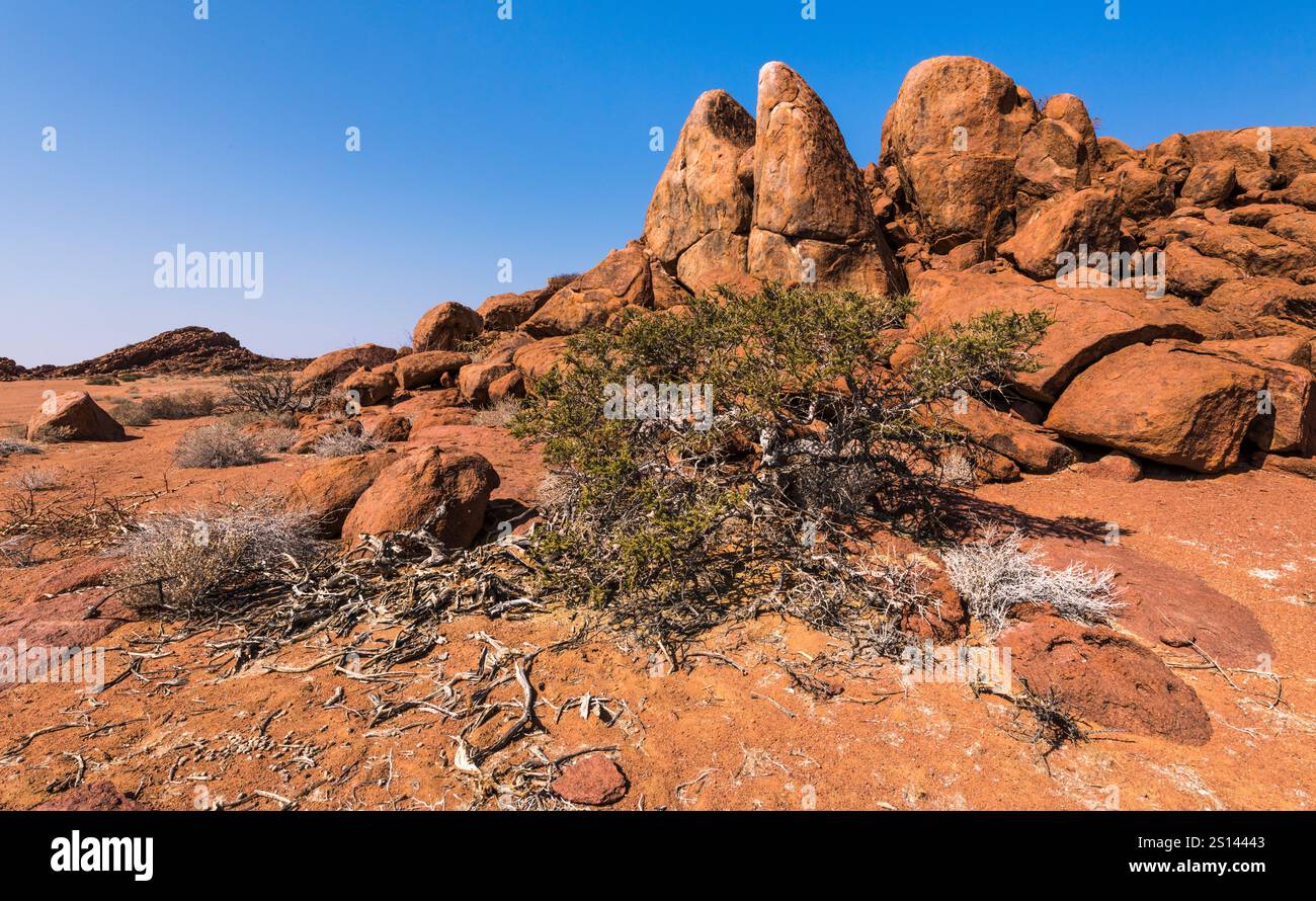 Red Rocks im Damaraland in der Nähe von Twyfelfontain, Namibia, Afrika Stockfoto