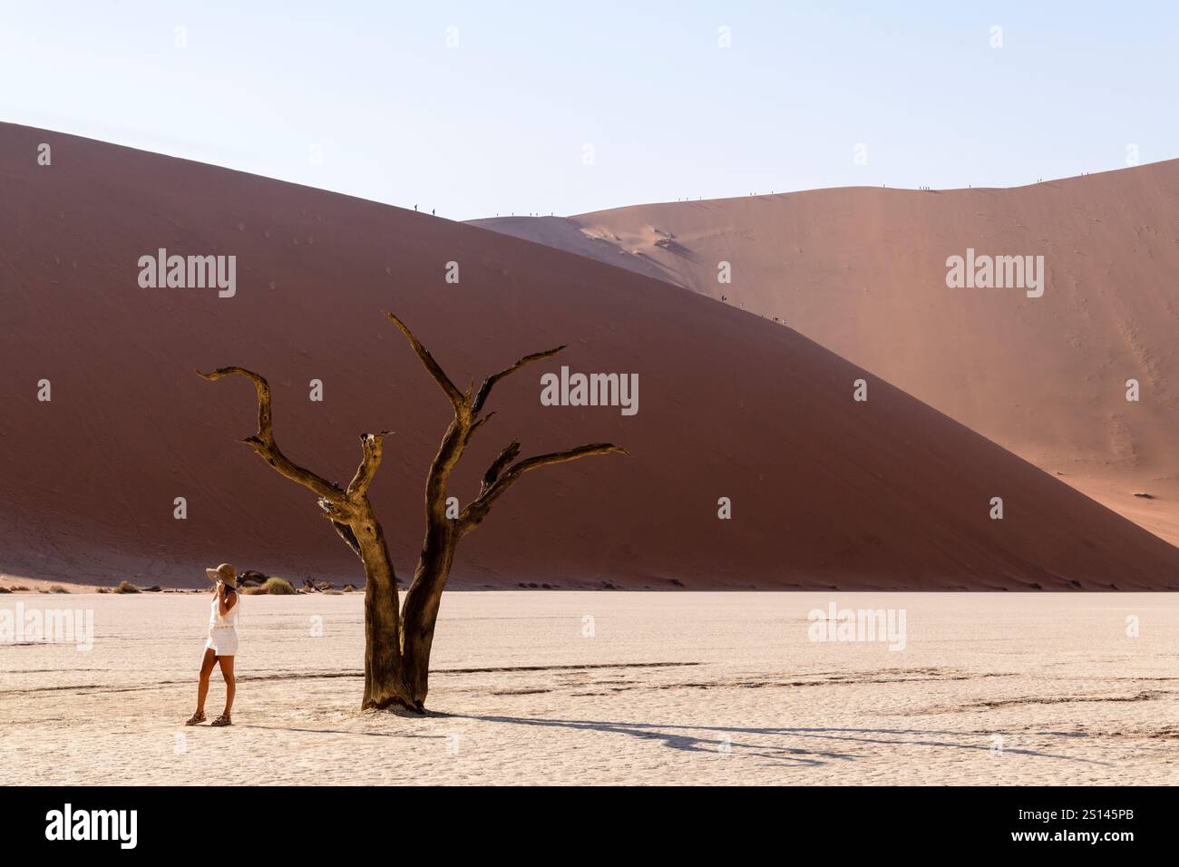 SESRIEM, NAMIBIA - 21. AUGUST 2024: Weibliche Touristin mit Sonnenhut vor Dead Tree and Dune Stockfoto