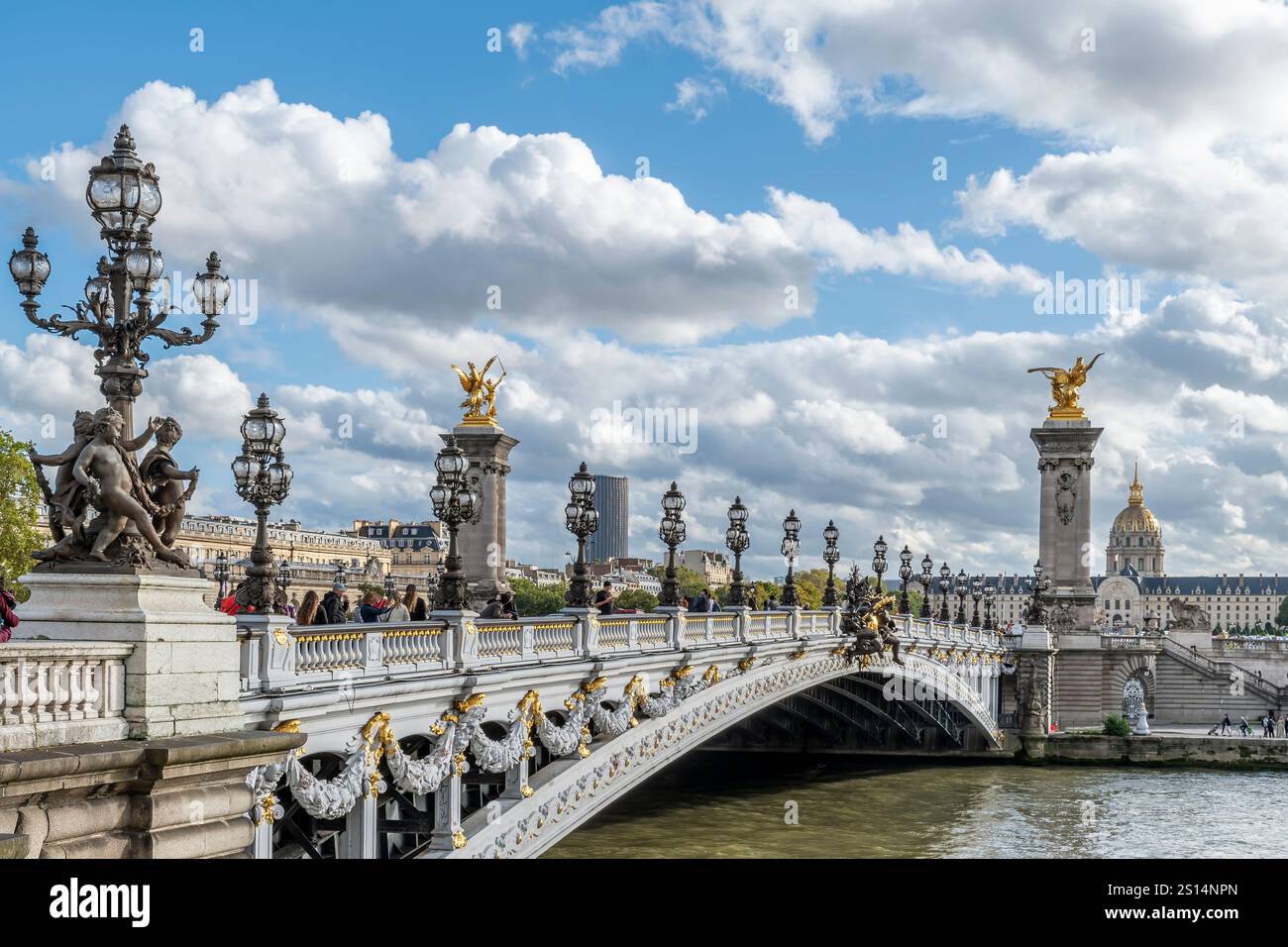Die berühmte Alexandre III Brücke über die seine, Paris, Frankreich Stockfoto
