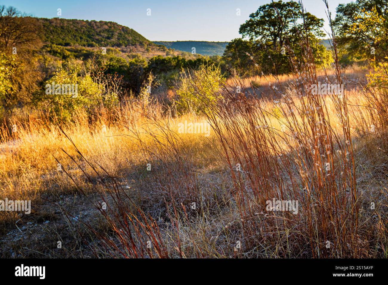 „Balcones Breeze in Autumn Glow“ ist ein eindrucksvoller Fotodruck, der den heiteren Charme einer Landschaft von Texas Hill während des Herbstes einfängt Stockfoto