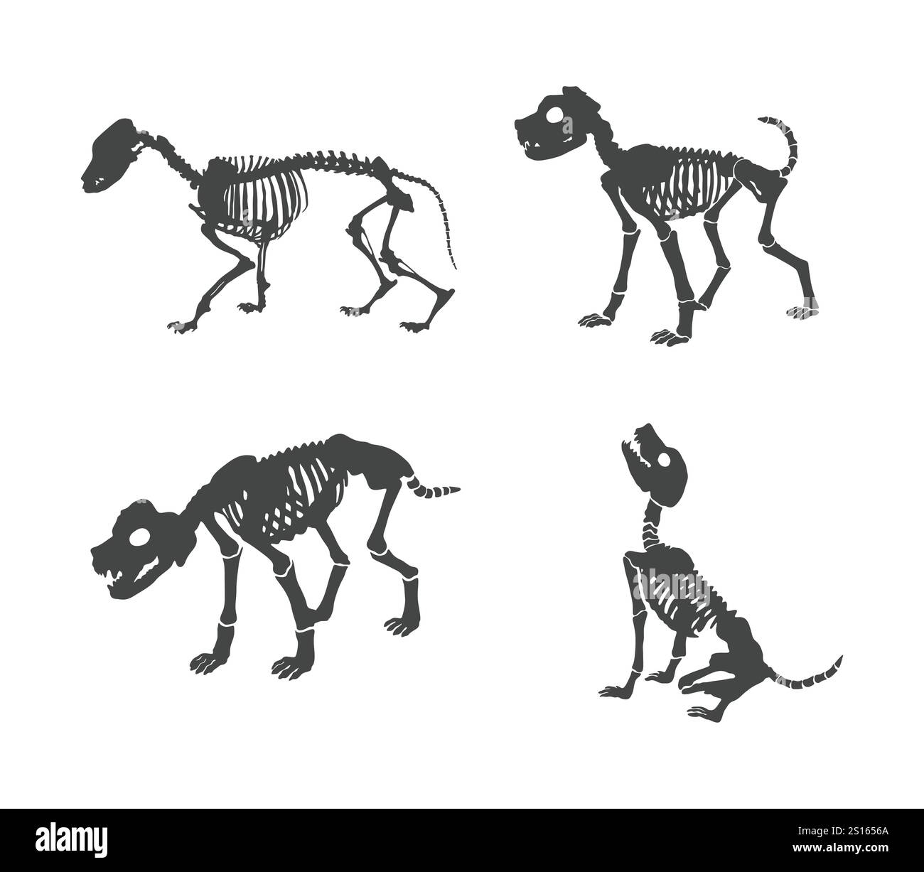 Hund Skelett Logo, Hund Skelett Silhouette, Hund Skelett Clipart, Hund Skelett Vektor Illustration. Stock Vektor