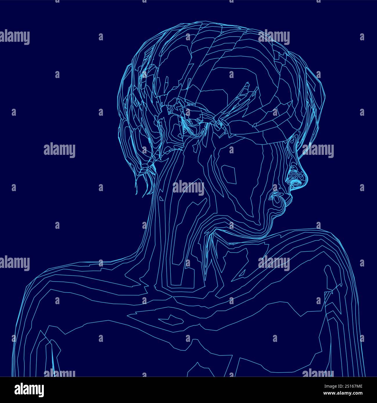 Der Kopf der Frau ist blau dargestellt. Das Bild ist eine computergenerierte Zeichnung des Kopfes einer Frau. Das Haar der Frau ist in einem Brötchen gestylt, und ihr Gesicht Stock Vektor