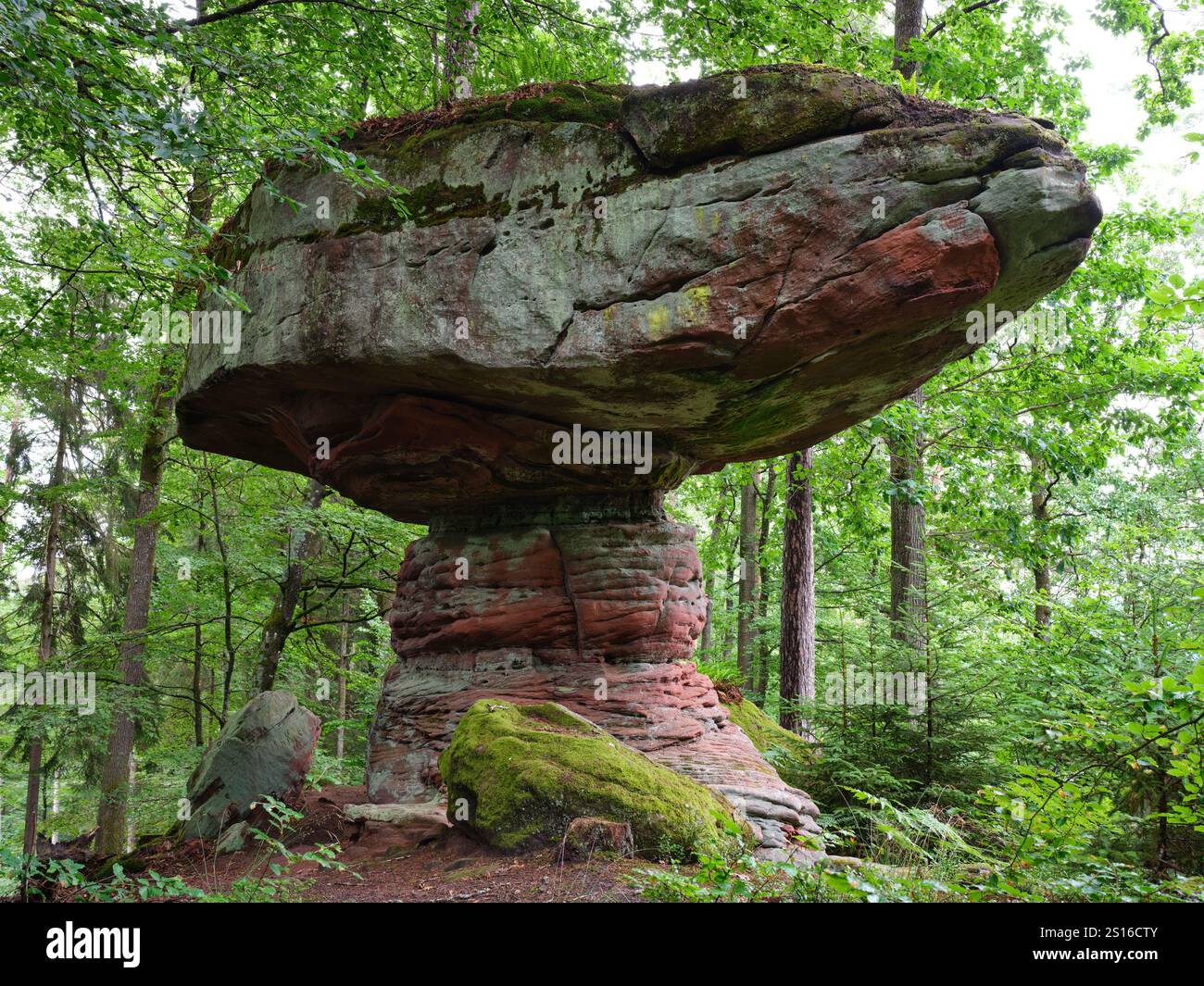 Sandstein-Hoodoo in den nördlichen Vogesen. Die Pilsfels in Sturzelbronn, Moselle, Grand Est, Frankreich. Stockfoto