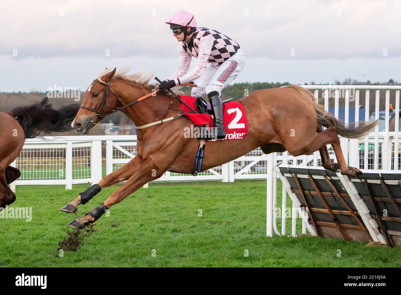 Ascot, Berkshire, Großbritannien. Dezember 2024. DAS GEHEIME EICHHÖRNCHEN, das von Jockey David geritten wurde, nimmt beim Ladbrokes Handicap Hürdenrennen Class 1 Premier Handicap GBB Race beim Howden Christmas Family Raceday auf der Ascot Racecourse in Berkshire eine Hürde. Eigentümerin Frau M D W Morrison, Trainer Hughie Morrison, West Iisley, Sponsor Bridgend Hotel. Kredit: Maureen McLean/Alamy Stockfoto