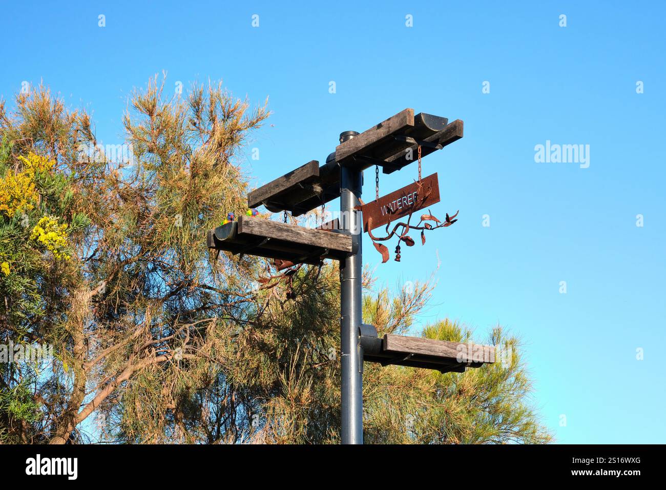 Eine Vogelbewässerungsstation mit sauberem Trinkwasser für Vögel in der Salter Point Lagoon am Canning River in Perth, Western Australia. Stockfoto