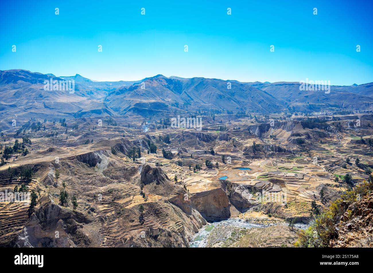 Colca Canyon, Peru Stockfoto