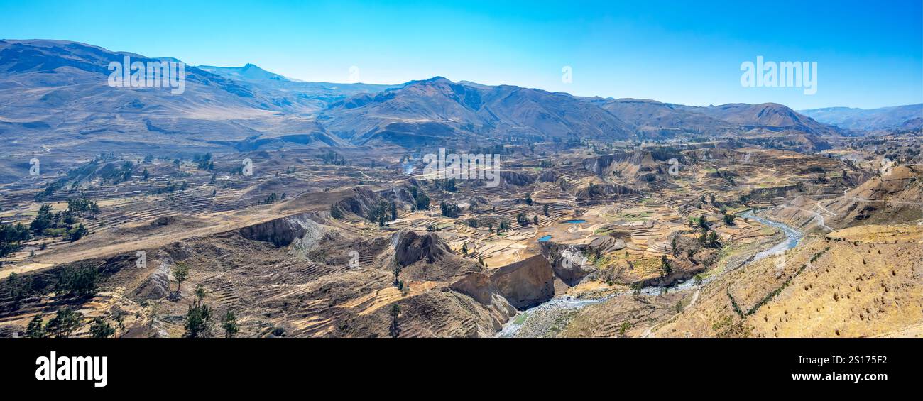 Colca Canyon, Peru Stockfoto