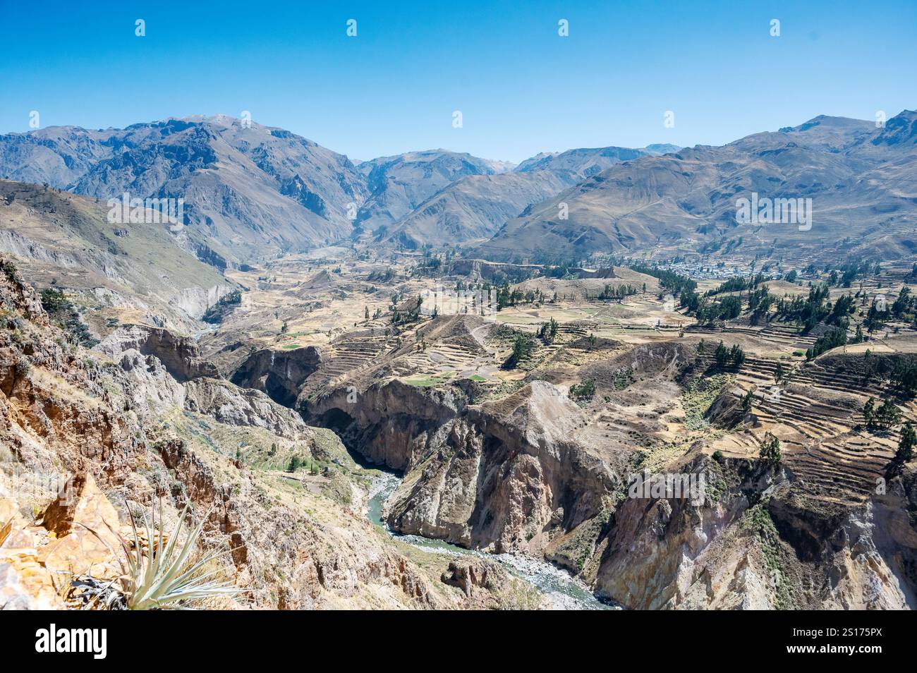 Colca Canyon, Peru Stockfoto