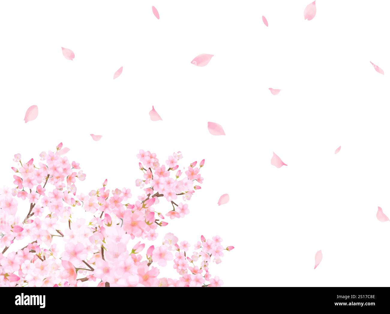 Kirschblüte Baum - schöne hellrosa Kirschblüten und Blütenblätter Frühling Aquarell weißer Hintergrund Rahmen Hintergrund Clipart Stock Vektor