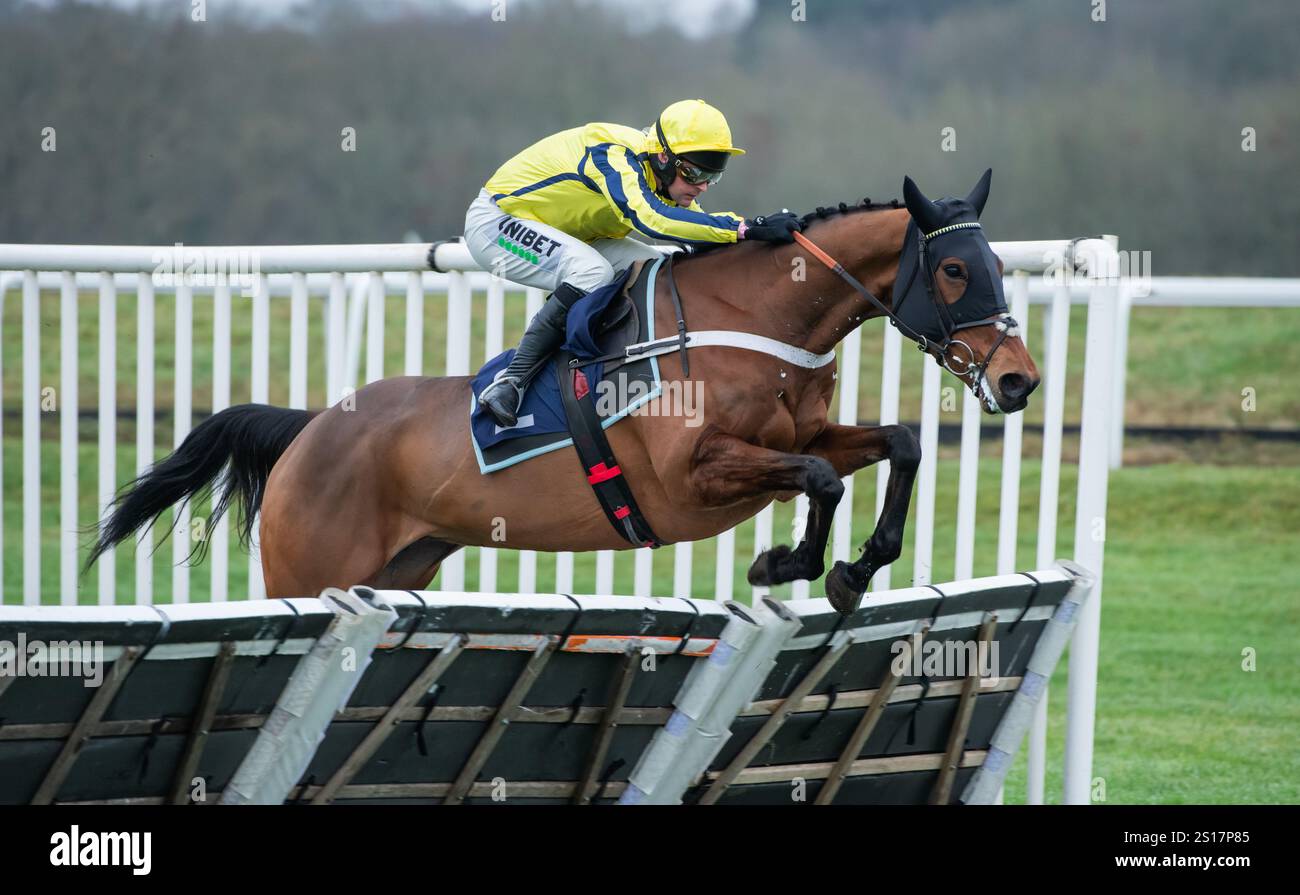 Break My Soul und Nico de Boinville springt in der Play Coral Racing Super Series zum letzten Mal für die Mares Handicap Hürde. Stockfoto