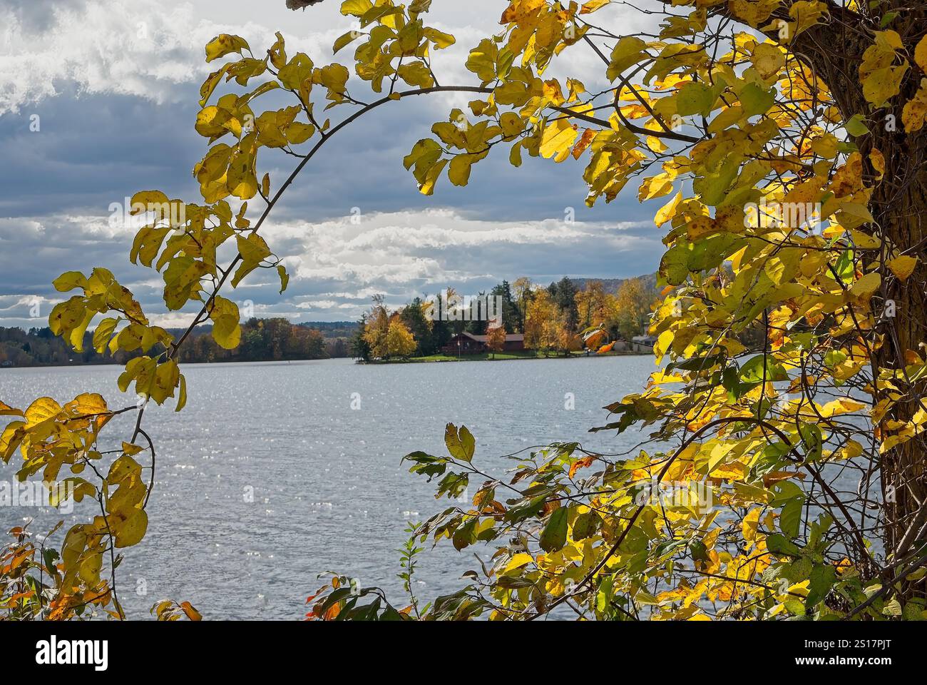 Helle, herbstfarbene Blätter bieten einen Blick auf das Wasser des Sees in Berkshire Hills Stockfoto