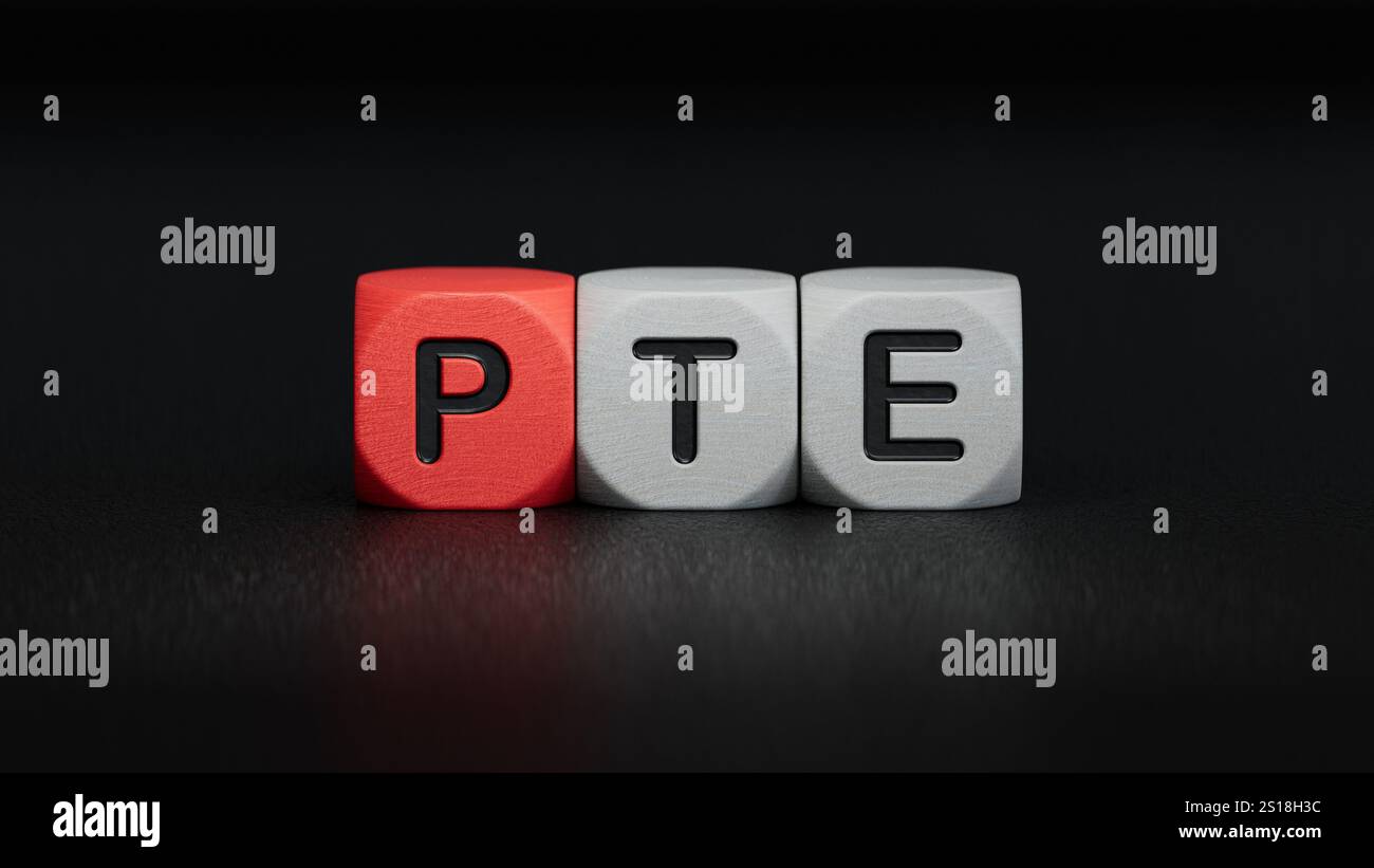 Drei Holzblöcke mit den Buchstaben PTE. Nahaufnahme von Holzelementen, Business Concept.3D-Rendering auf schwarzem Hintergrund. Stockfoto