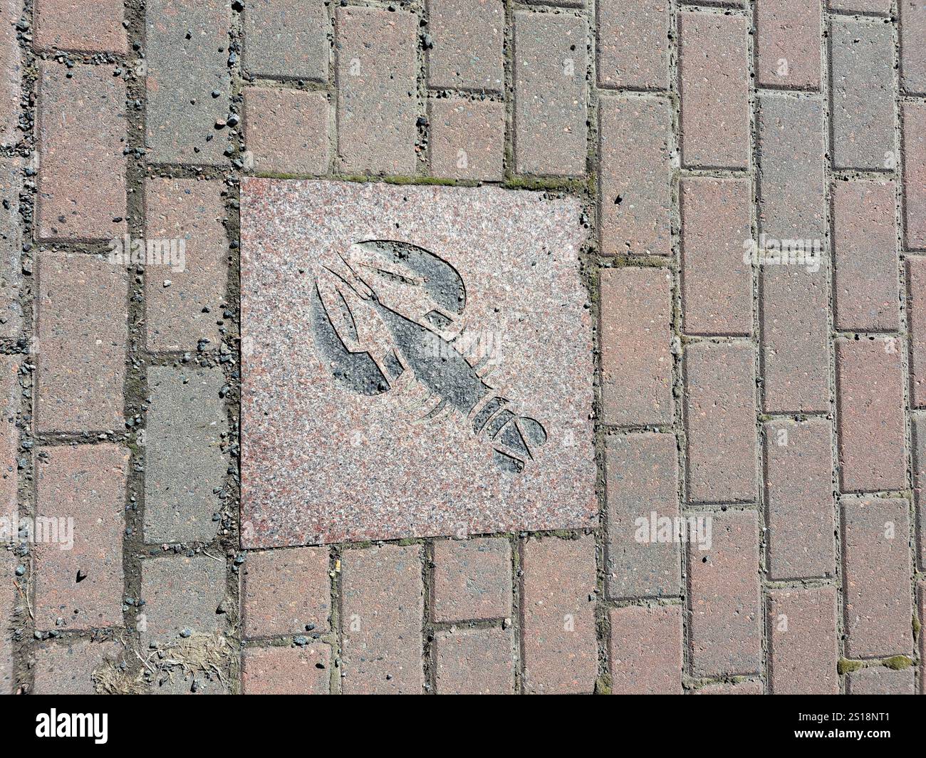 Geprägtes Hummer-Logo auf dem Gehweg in Shediac, New Brunswick, Kanada Stockfoto