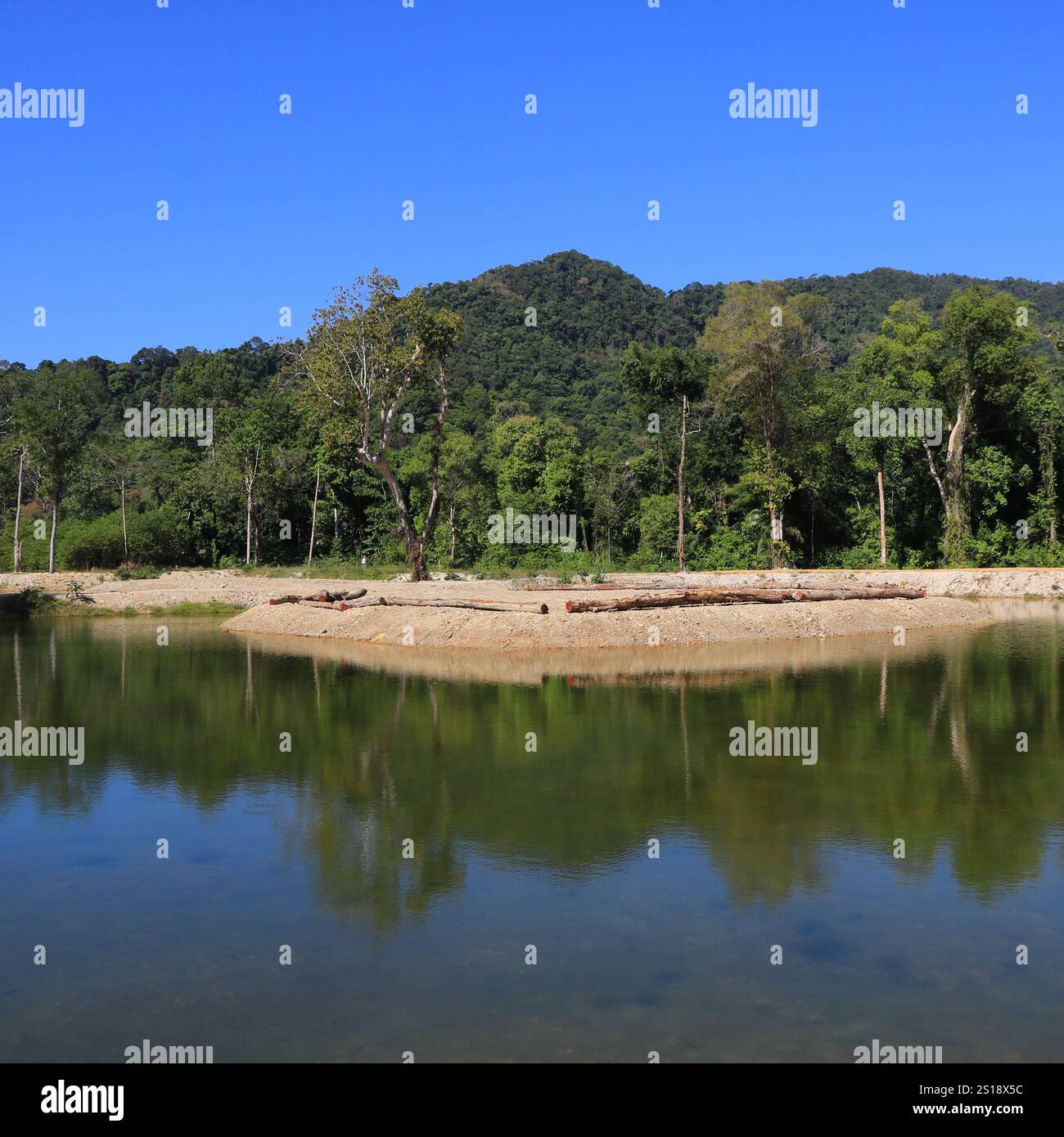 Berg bedeckt von grünem tropischem Wald, Ko Chang, Thailand. Stockfoto