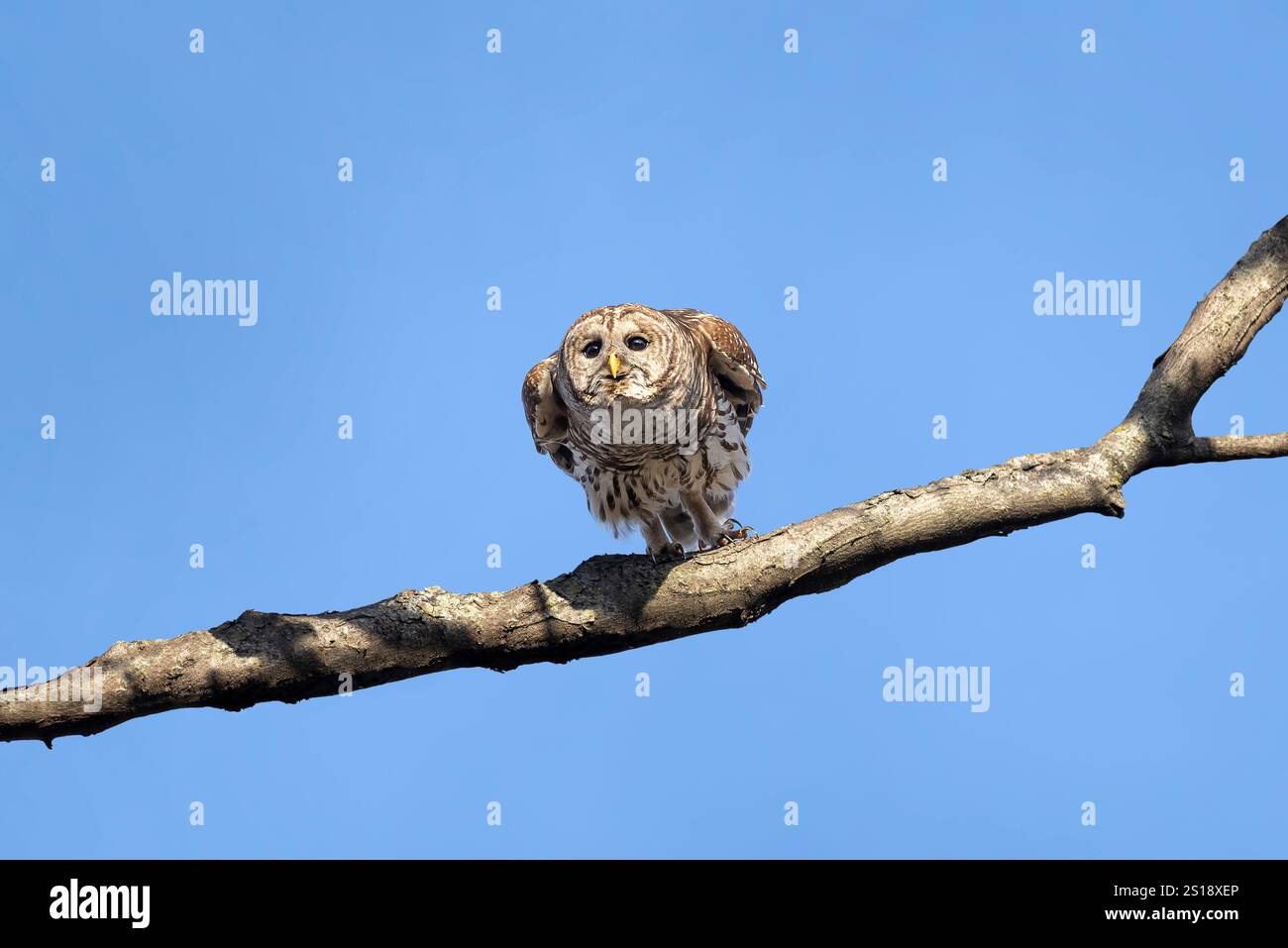 Mehrere Werte Stockfoto