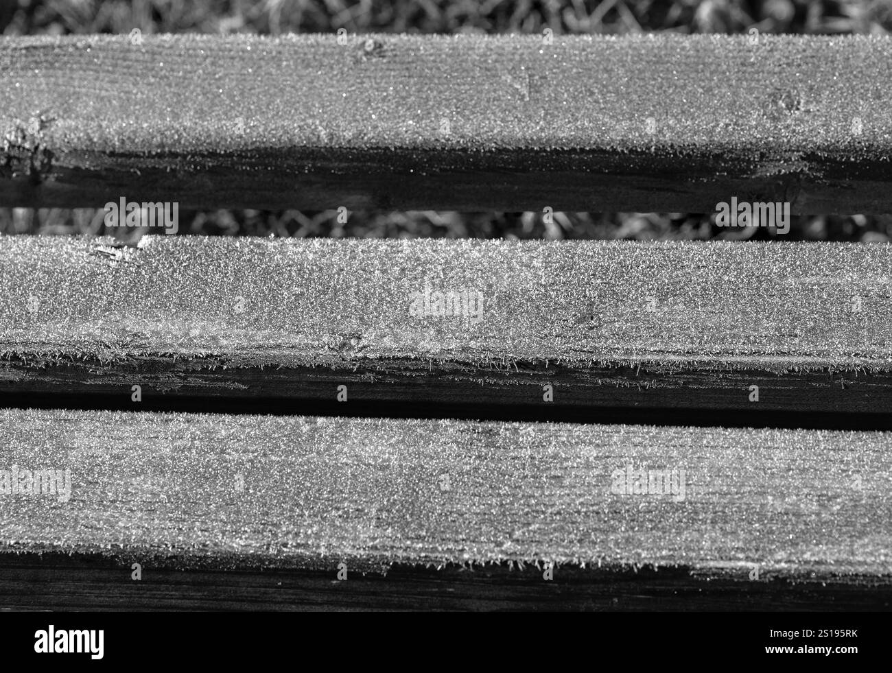Gefrorene Holzdielen: Parkbank Nahaufnahme am Morgen Stockfoto