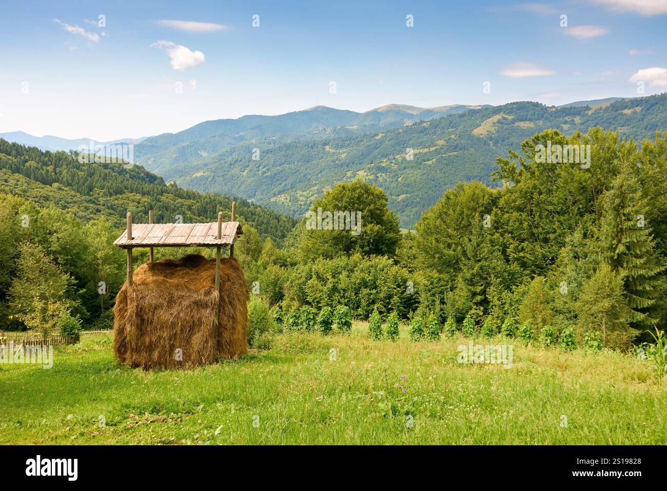 Ländliche Landschaft im Sommer. Outdoor-Abenteuer. Heuhaufen auf dem grasbewachsenen Feld. Sonniger Tag. Wald auf dem Hügel der karpaten unter einem blauen Stockfoto