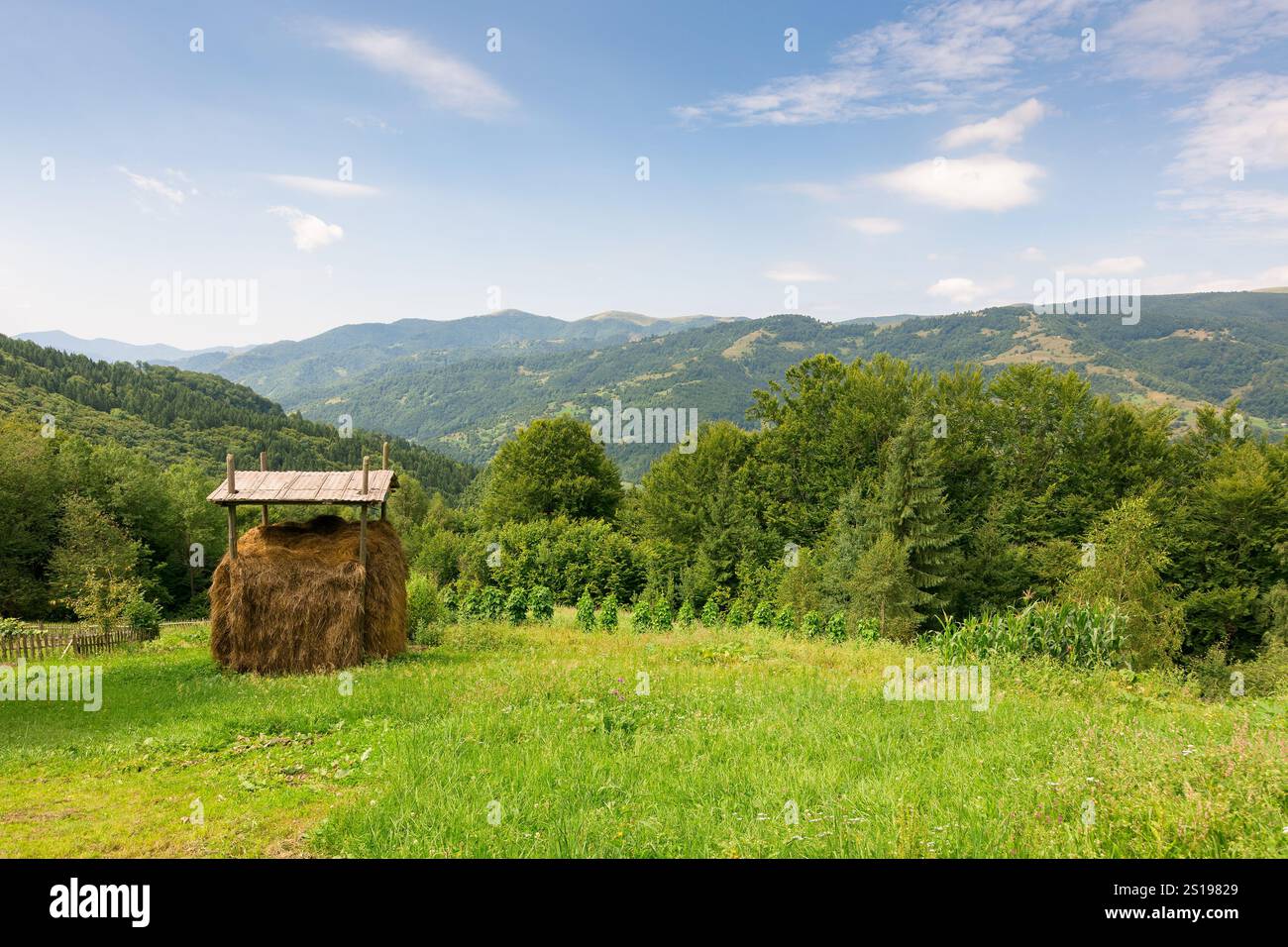 Ländliche Landschaft im Sommer. Grüne Umwelt. Heuhaufen auf dem grasbewachsenen Feld. Sonniger Tag. Wald auf dem Hügel der karpaten unter einem blauen Stockfoto
