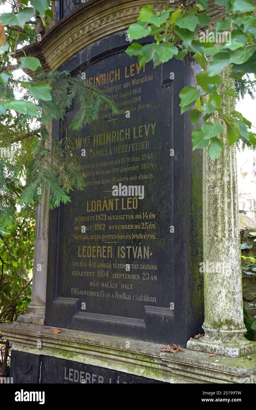 Bewachsene Gräber auf dem jüdischen Friedhof in der Salgotarjani-Straße, Budapest, Ungarn, Dezember 2022 Stockfoto