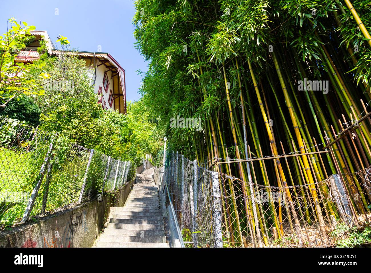Hexenstiege enge Gasse mit Treppen umgeben von Bambus, Luzern, Schweiz Stockfoto