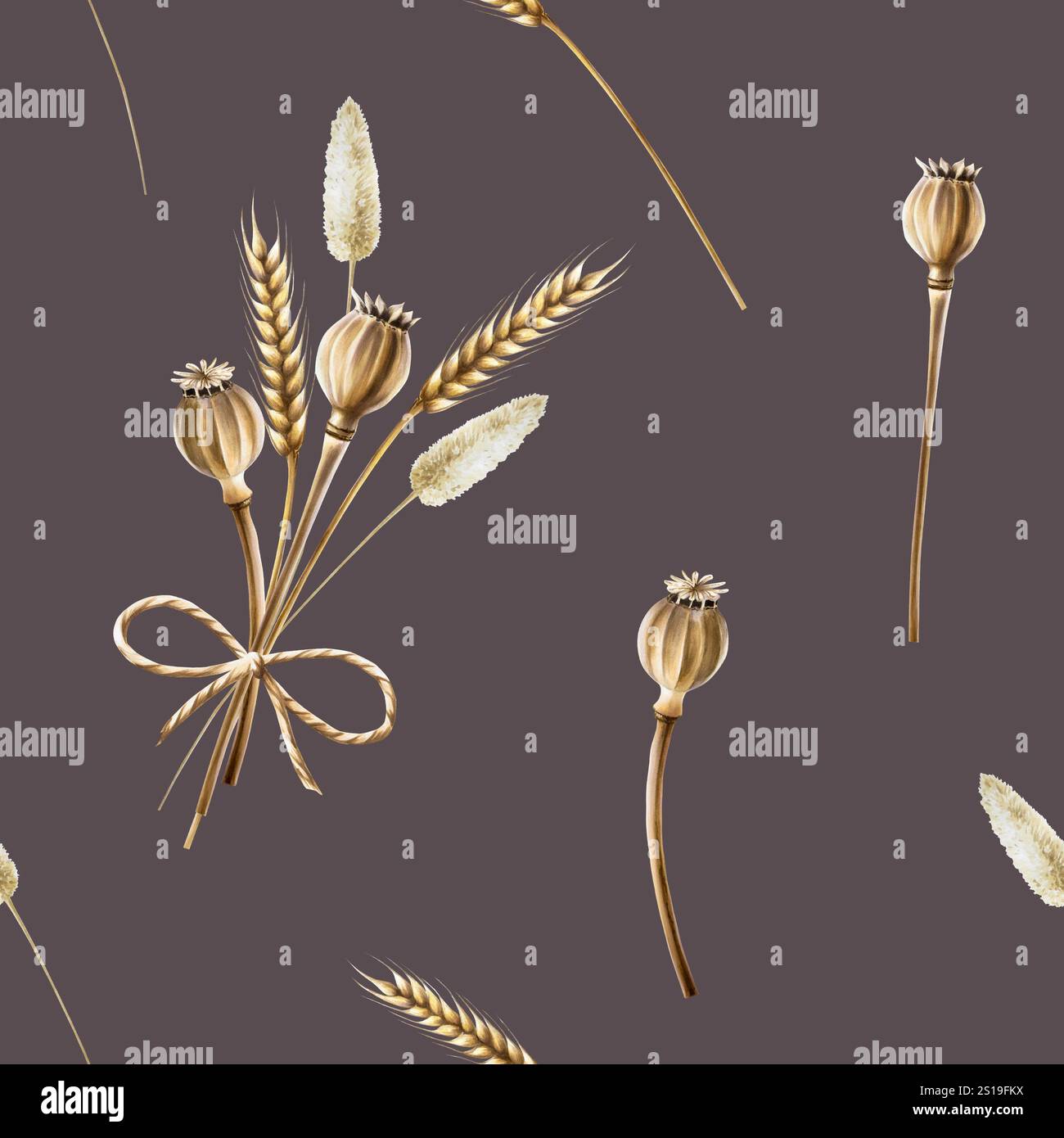 Nahtloses Muster mit getrockneten Mohnköpfen, Weizenohren, Pflanzen. Aquarell handgezeichnete Garnschleife, Kasten und Stiele Mohnillustration isoliert auf Stockfoto