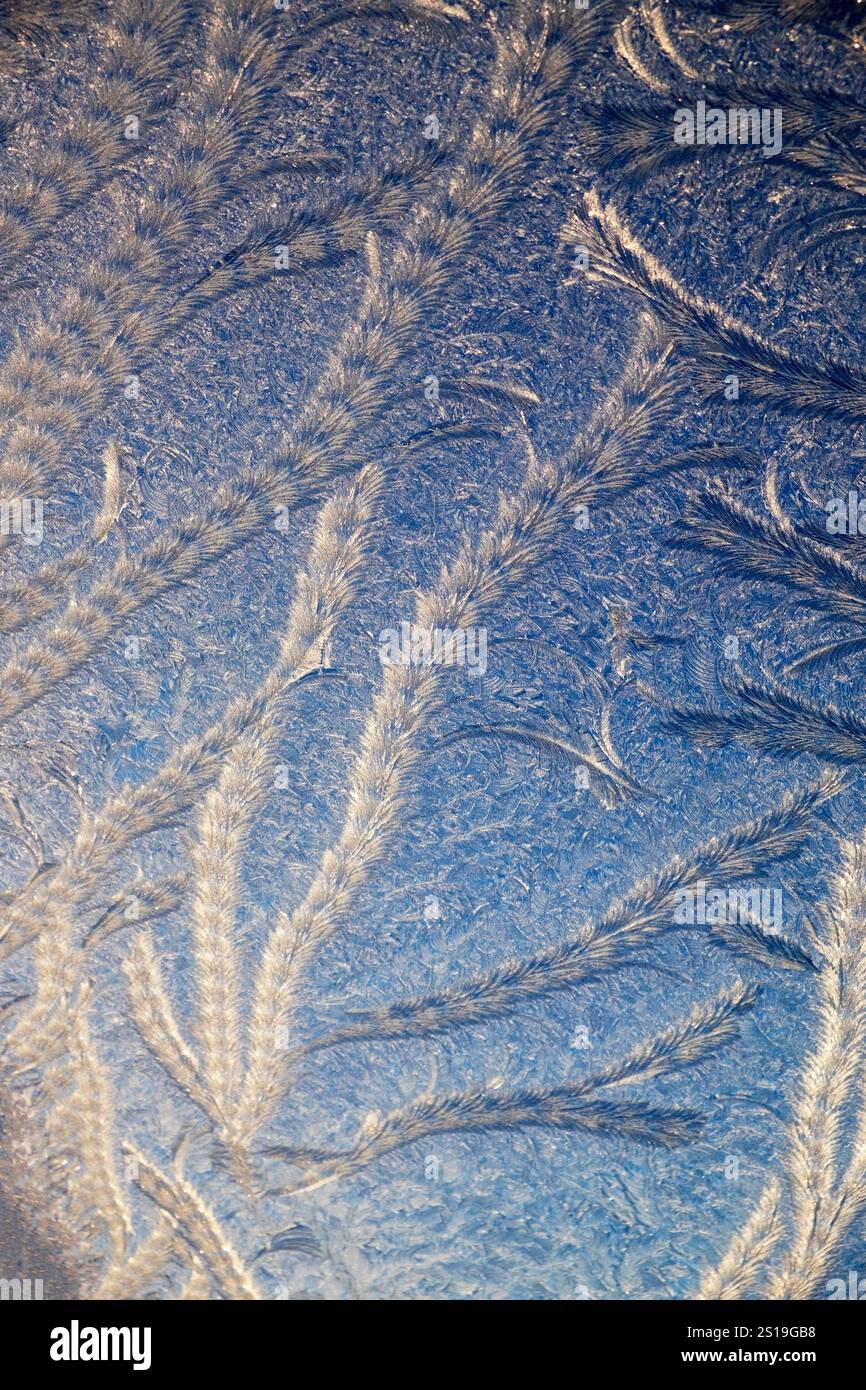 Schöne abstrakte Frostmuster, die durch Eiskristalle auf Fensterscheiben im Winter gebildet werden Wales Großbritannien KATHY DEWITT Stockfoto