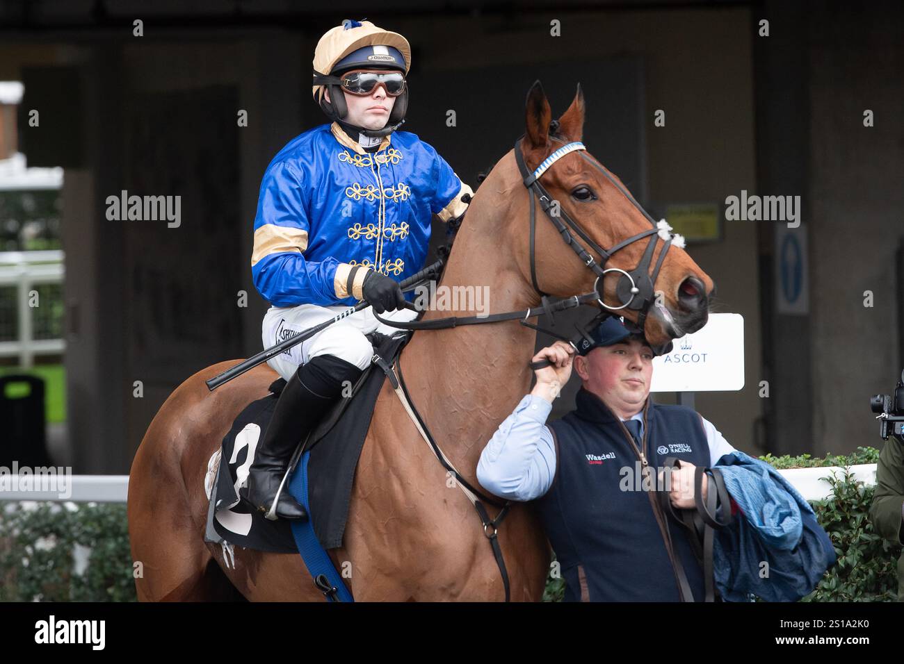 Ascot, Berkshire, Großbritannien. Dezember 2024. DER von Jockey Jonjo O'Neill Jr geleitete LEISTUNGSSCHALTER begibt sich auf die Rennstrecke für das Handicap Hürdenrennen der Thames Materials Novices Class 4 GBB Race beim Howden Christmas Family Raceday auf der Ascot Racecourse in Berkshire. Besitzer Tanzanite, Trainer Jonjo & A J O'Neill, Cheltenham, Züchter Littleton Stud, Sponsor Wasdell Group. Kredit: Maureen McLean/Alamy Stockfoto