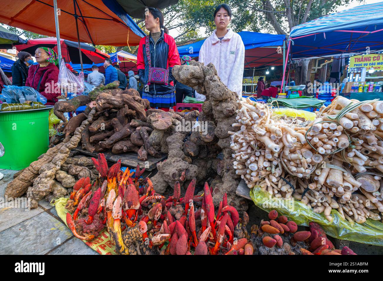 Vietnam, Provinz Lao Cai, Bac Ha, der Wochenmarkt der ethnischen Gruppe der Hmong-Blumen, Produkte der traditionellen Medizin Stockfoto