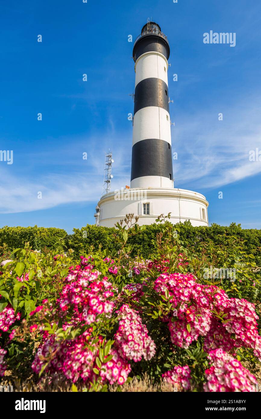 Frankreich, Charente-Maritime, Île d'Oléron, Saint-Denis d'Oléron, Blumen des Gartens in Form einer Rose der Winde, anerkannt Jardin remarquable, am Fuße des Leuchtturms von Chassiron, von der Pointe de Chassiron bis zum nördlichen Ende der Insel Oléron Stockfoto