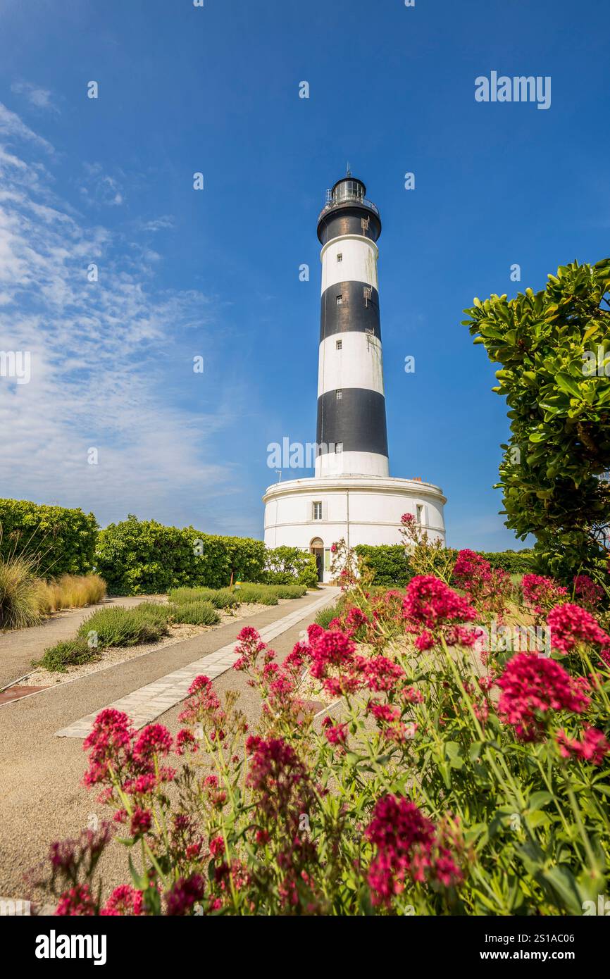Frankreich, Charente-Maritime, Île d'Oléron, Saint-Denis d'Oléron, Blumen des Gartens in Form einer Rose der Winde, anerkannt Jardin remarquable, am Fuße des Leuchtturms von Chassiron, von der Pointe de Chassiron bis zum nördlichen Ende der Insel Oléron Stockfoto