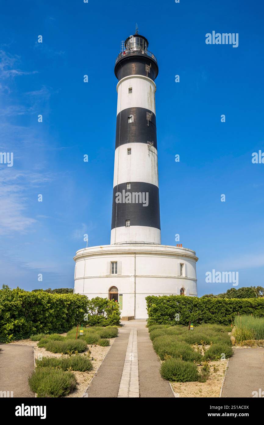 Frankreich, Charente-Maritime, Île d'Oléron, Saint-Denis d'Oléron, vom rosaroten Garten der Winde aus gesehen, der als bemerkenswerter Garten anerkannt ist, am Fuße des Leuchtturms von Chassiron, von der Pointe de Chassiron bis zum nördlichen Ende der Insel Oléron Stockfoto