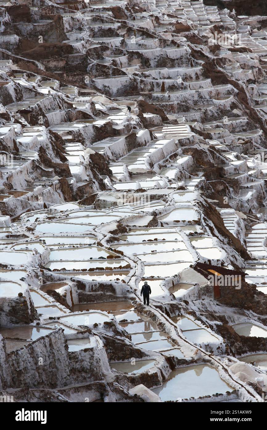 Peru, die Anden, das heilige Tal, Maras, Mann mitten in den Salinen der Inka-Treppe Stockfoto
