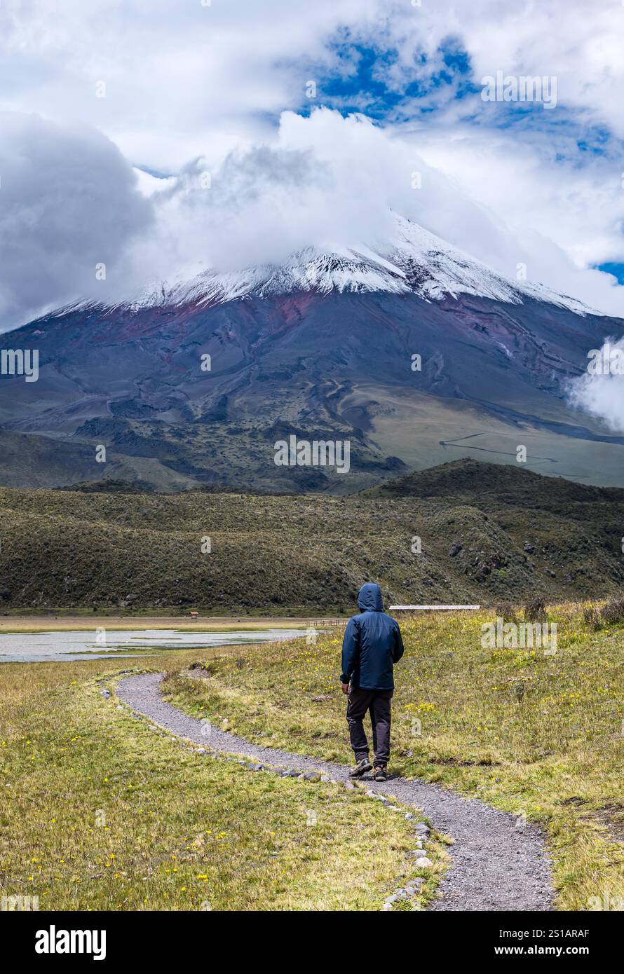 Man wandert auf einem Fußweg in der Lagune von Limpiopungo oder am See mit dem Gipfel des Vulkans Cotopaxi, dem Nationalpark Cotopaxi, Ecuador, Südamerika Stockfoto