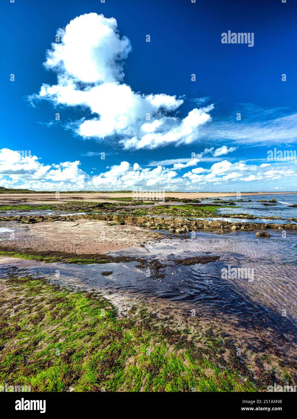 Blick bei Tag im Sommer über die Nordküste auf der Heiligen Insel Lindisfarne in Northumberland Stockfoto
