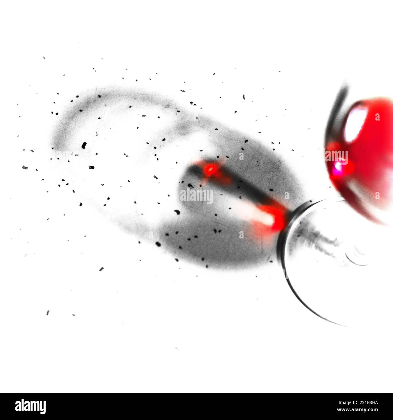 Rotwein im Stielweinglas auf der Küchenschranktheke. Stockfoto