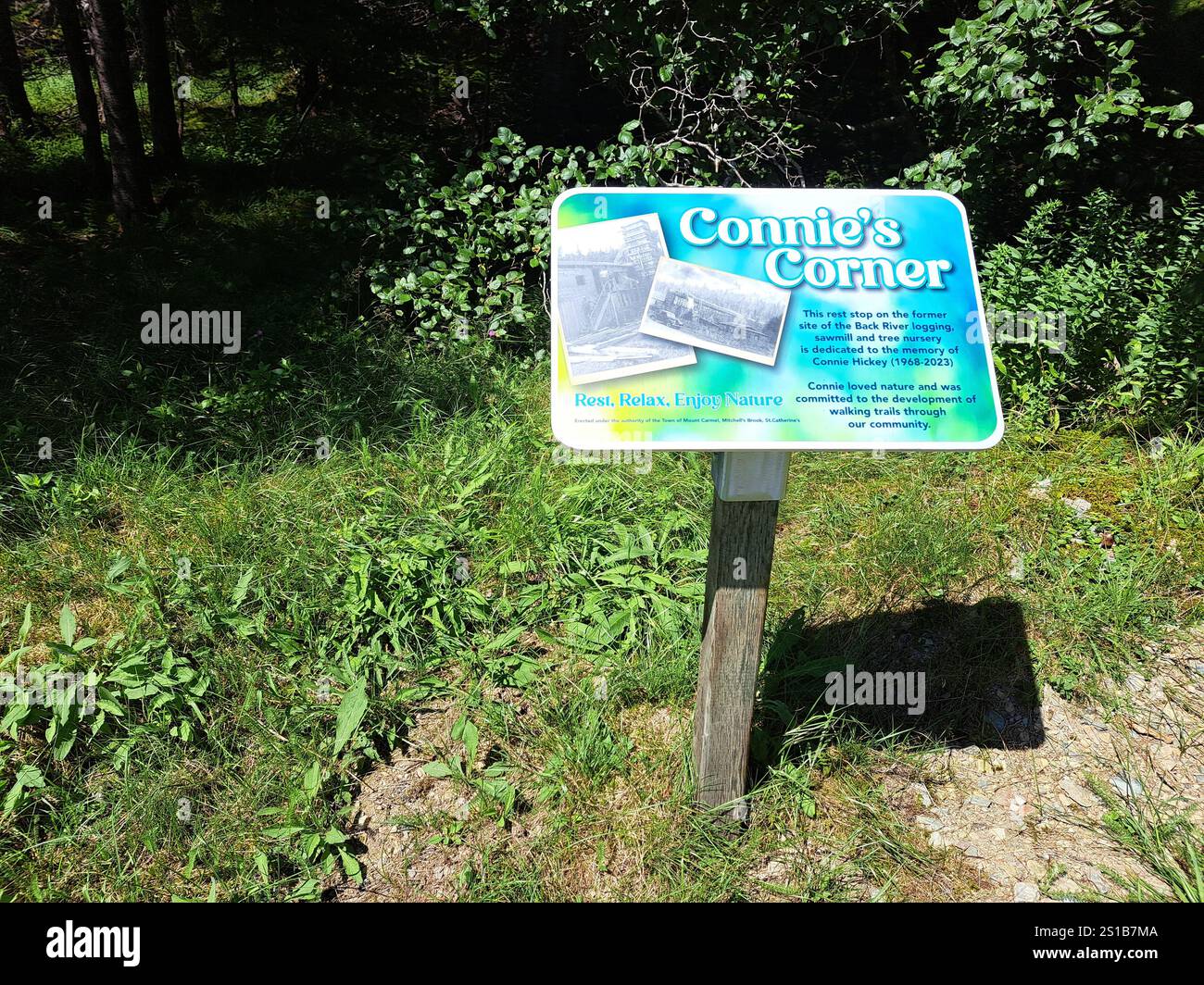 Connie's Corner Rest Stoppschild auf NL 90 in Mount Carmel-Mitchell's Brook-St. Catherine's, Neufundland & Labrador, Kanada Stockfoto