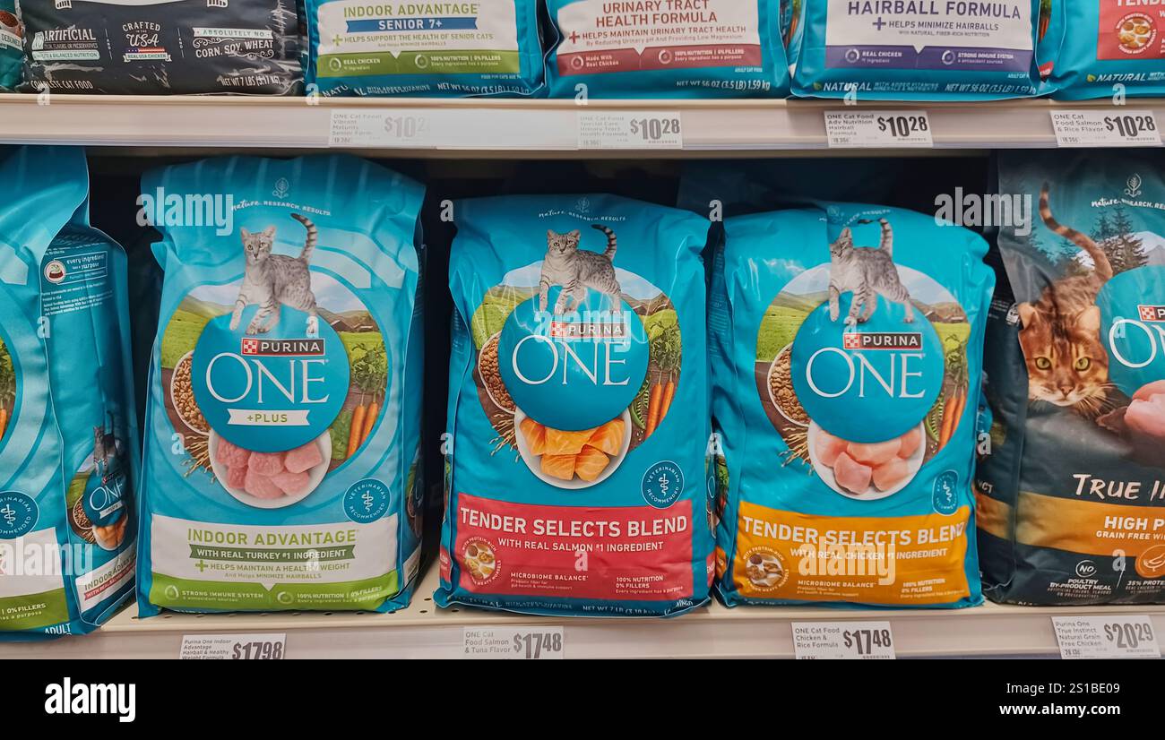 Houston, Texas, USA 12-01-2024: Purina One Trockenfutter für Katzen, Trockenfutter, Trockenfutter, Trockenfutter, Trockenfutter, Trockenfutter, Lebensmittelbeutel, Supermarktregal. Stockfoto