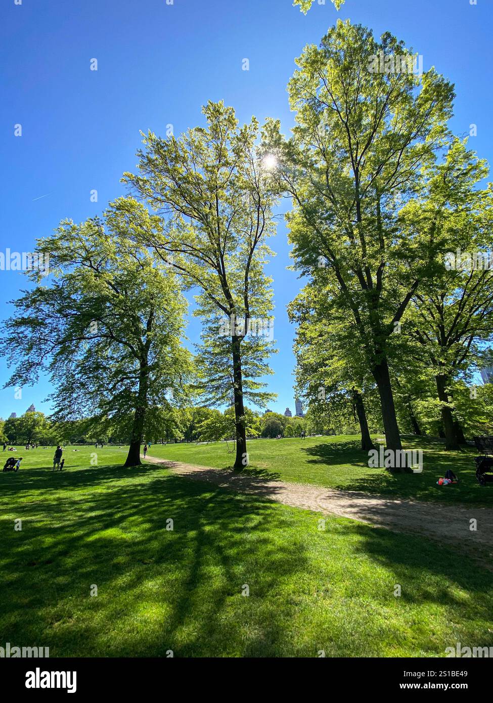 Frühling in Sheep Meadow, Central Park, Manhattan, New York City Stockfoto