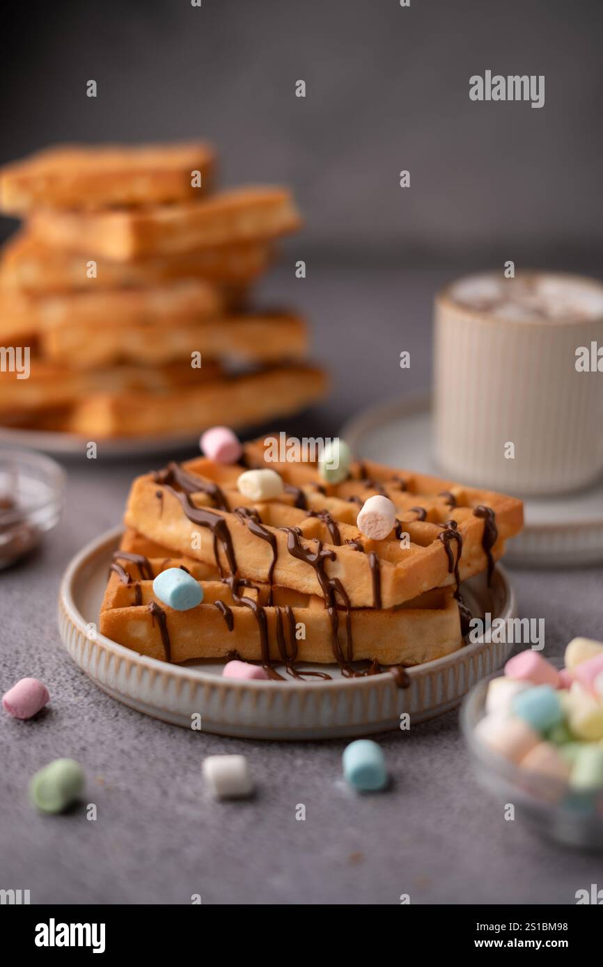 Lassen Sie sich von der köstlichen Kombination aus frisch zubereiteten Waffeln mit reichhaltigem Schokoladennebel und farbenfrohen Marshmallows verwöhnen, perfekt gepaart mit Witz Stockfoto