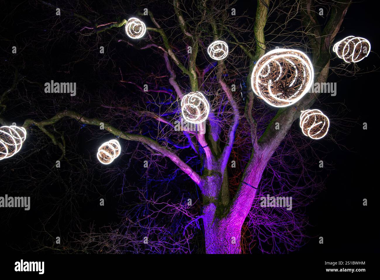 Ein lebendiger Baum mit leuchtenden kugelförmigen Lichtern vor einem dunklen Nachthimmel, der eine magische und festliche Atmosphäre schafft Stockfoto