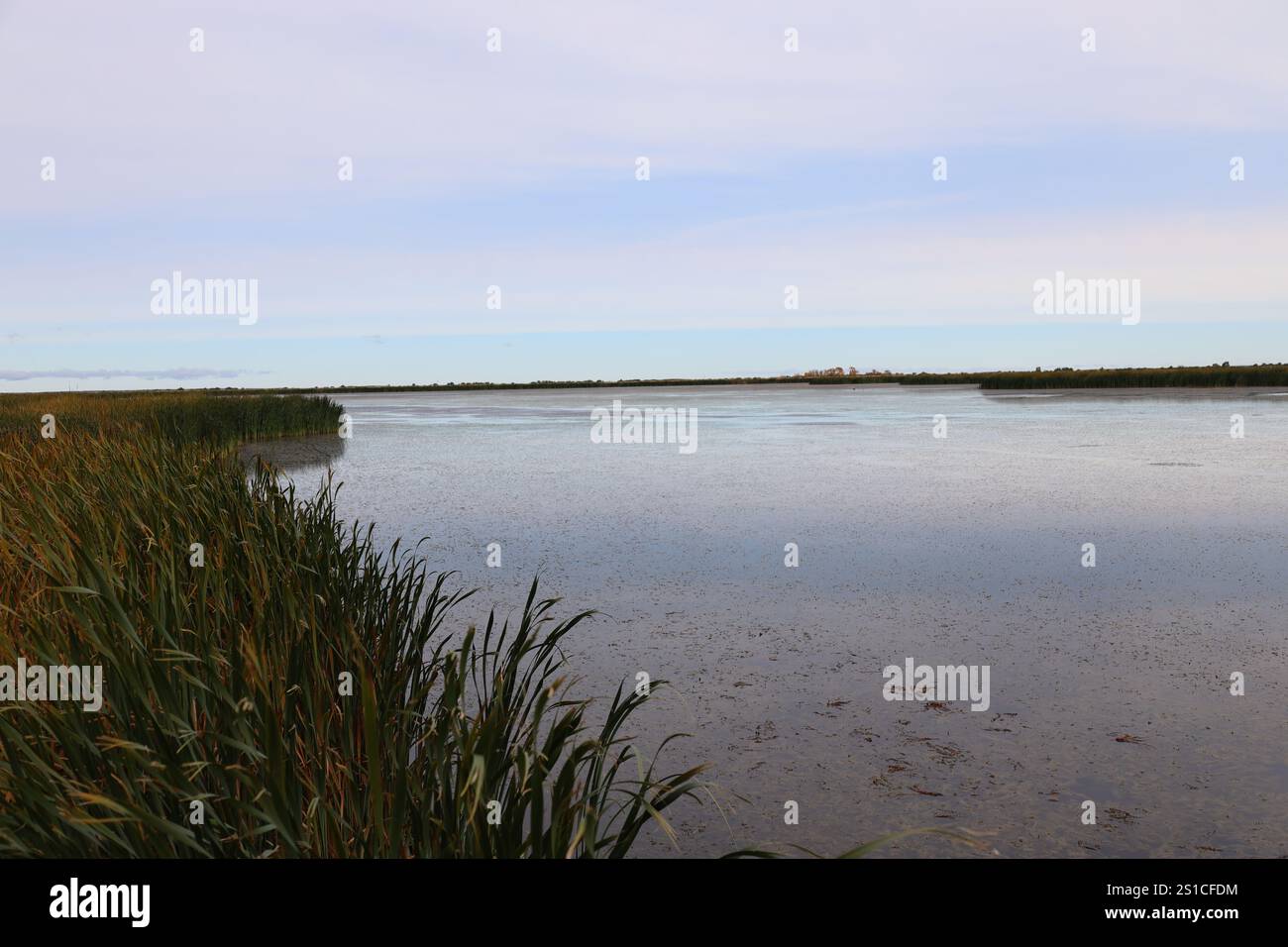 prairie-Sumpflandschaft unter teilweise bewölktem Himmel Stockfoto