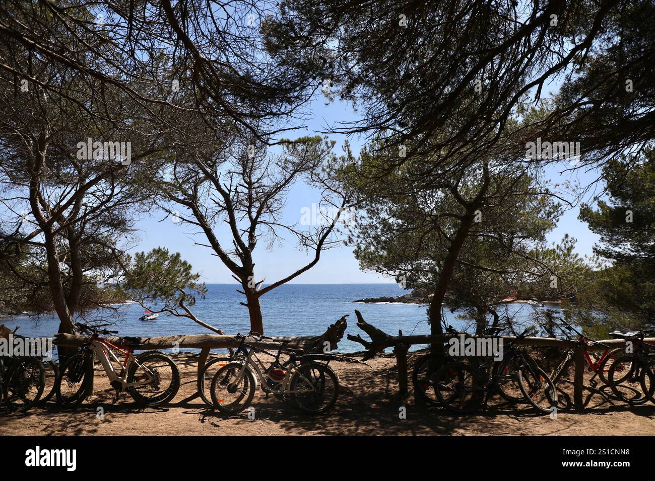 Fahrräder werden am Meer unter Zypressen auf der Insel Porquerolles im Nationalpark Port-Cros, Frankreich, abgestellt. Stockfoto