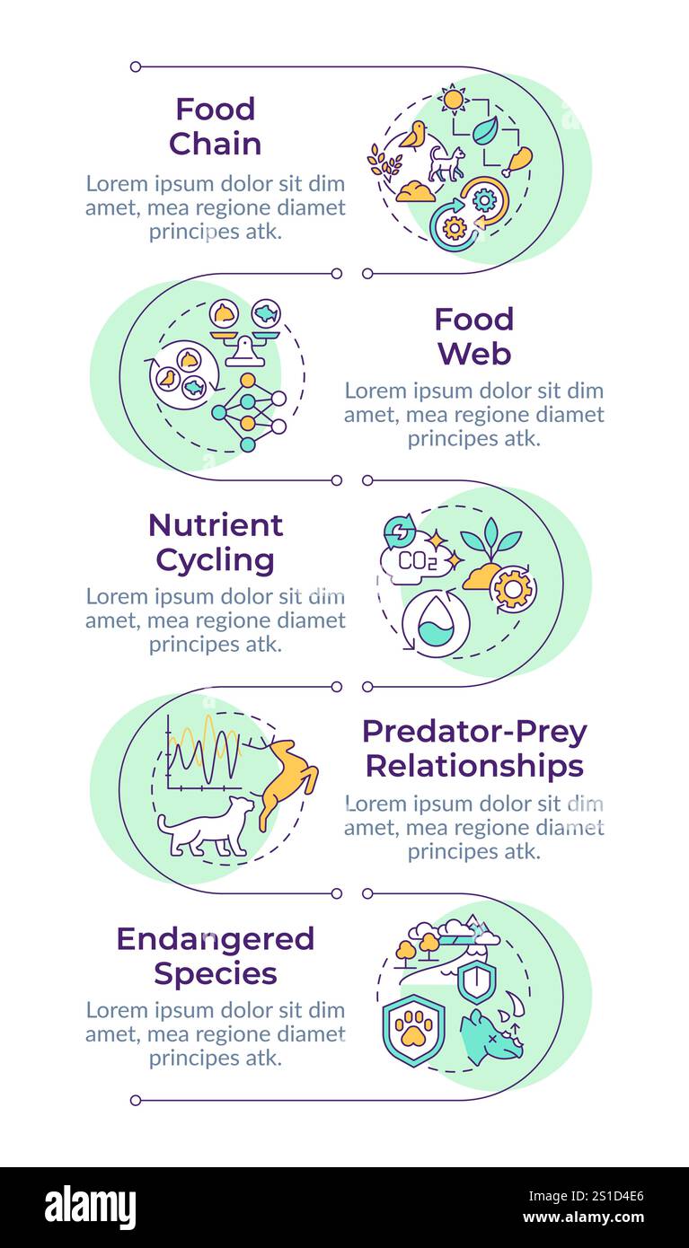 Die infographische vertikale Sequenz des ökologischen Gleichgewichts Stock Vektor