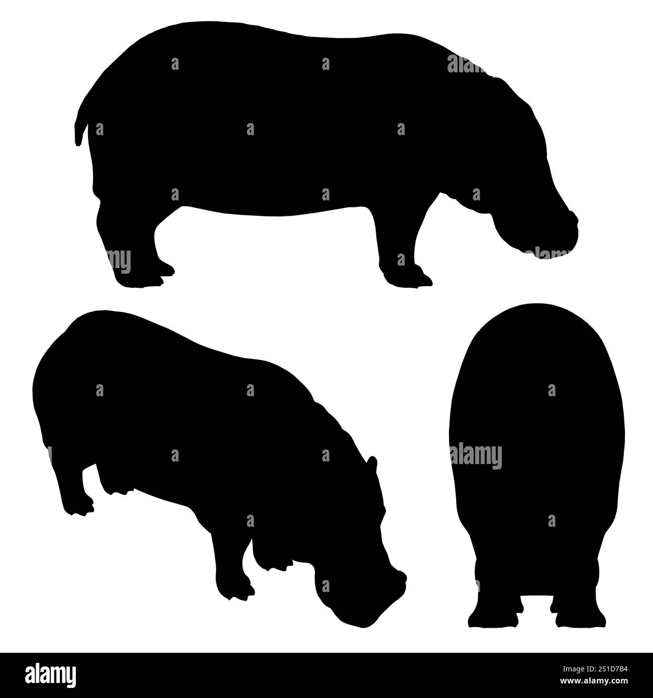 Drei schwarz-weiße Silhouetten eines Nilpferdes. Der erste schaut nach unten, der zweite schaut nach oben und der dritte schaut nach oben Stock Vektor